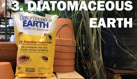 Diatomaceous Earth