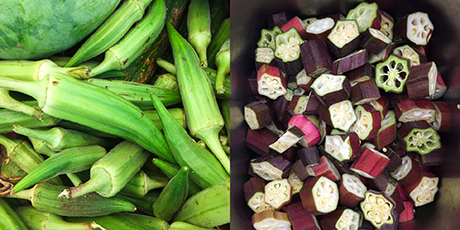 Fresh okra and chopped okra