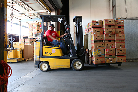 SVdP staff member operates forklift in food warehouse.