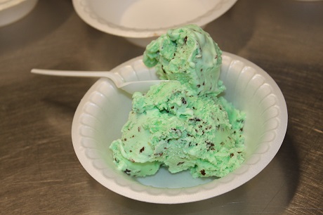 Mint Chocolate Chip Ice Cream