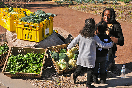 Urban Farm Nika and Kids