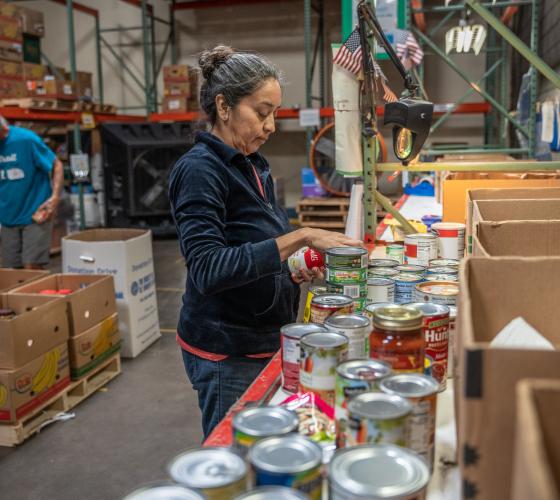 Woman sorting cans into boxes