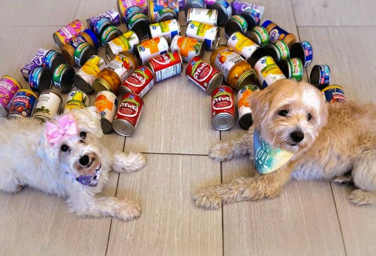 Summer Pantry Challenge Dogs