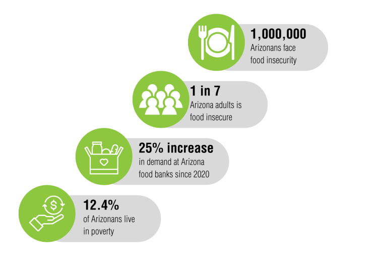 Graphic with food insecurity stats