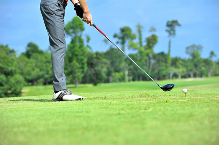 Birdies for Charity golf photo