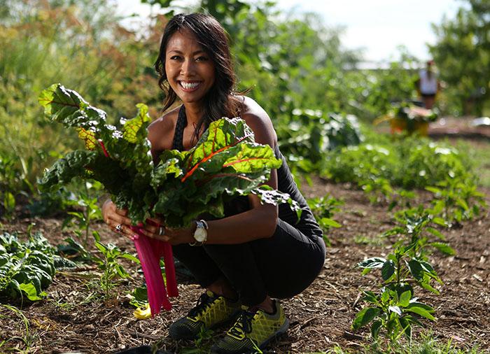 SVdP Urban Farm