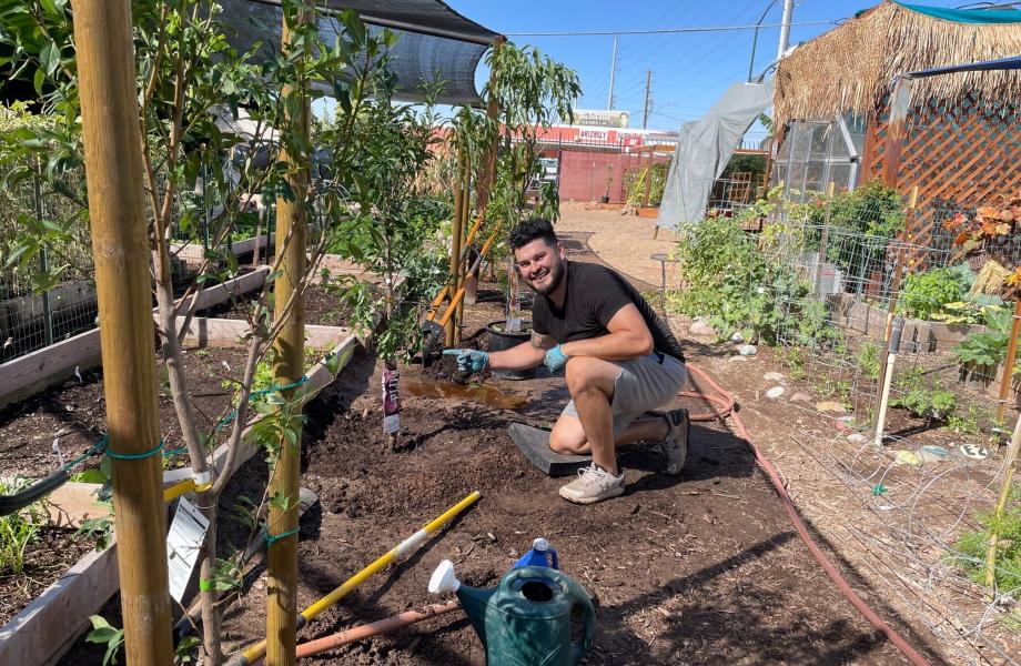 volunteer standing by plants in Mesa Urban Farm