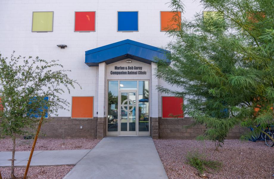 cap-clinic Outside view of Marion and Bob Auray Companion Animal Clinic