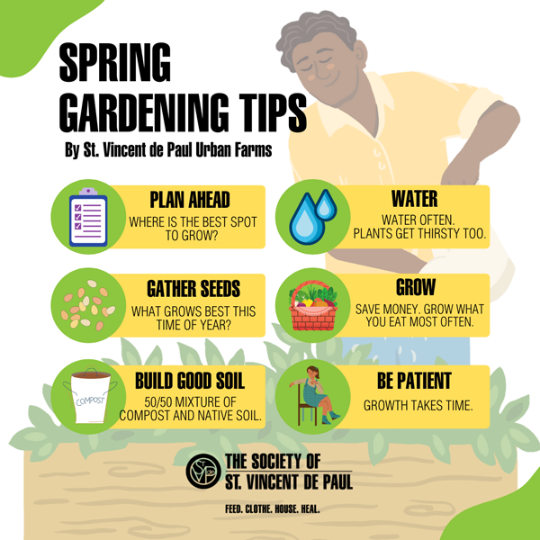Spring gardening tips graphic