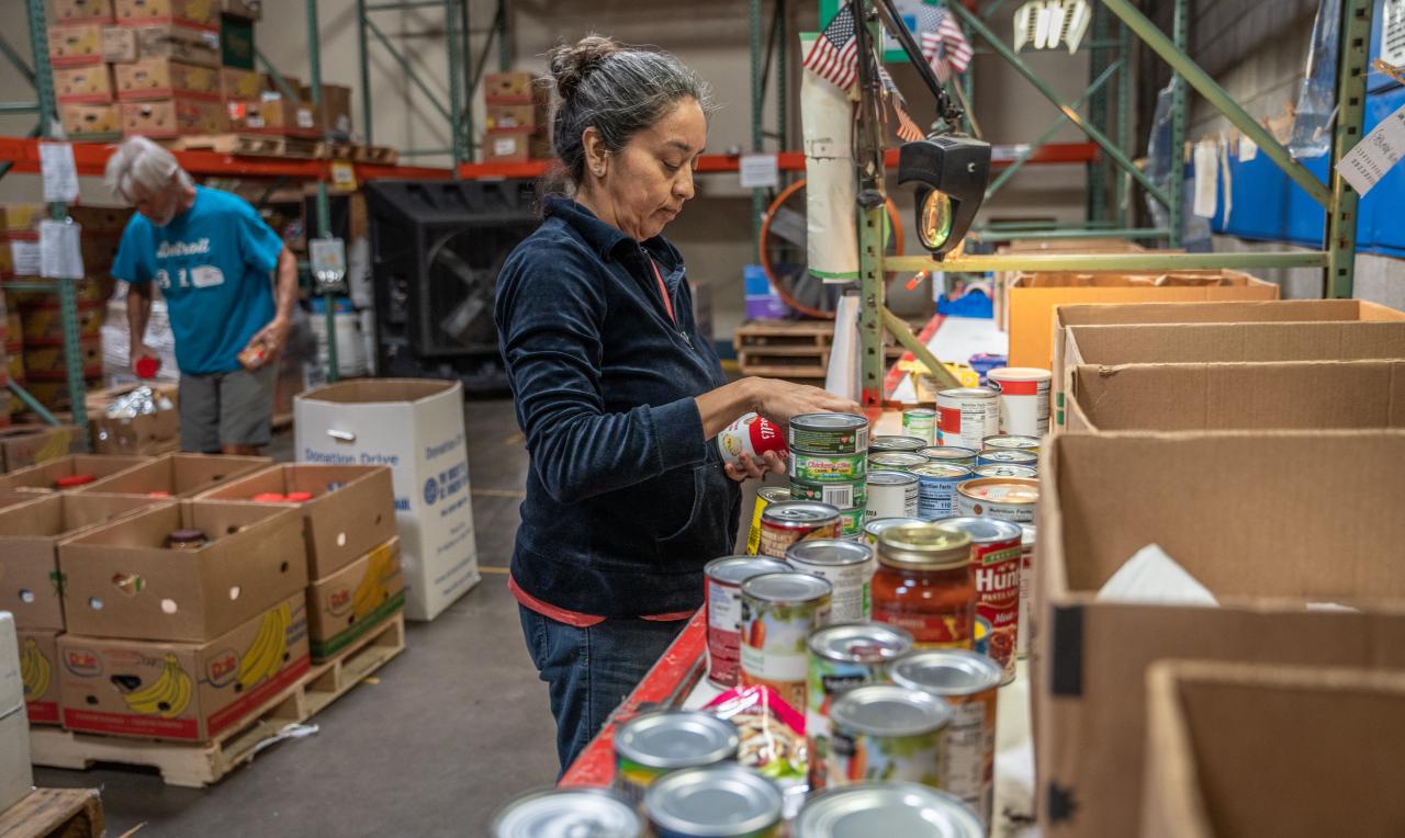 Woman sorting cans into boxes